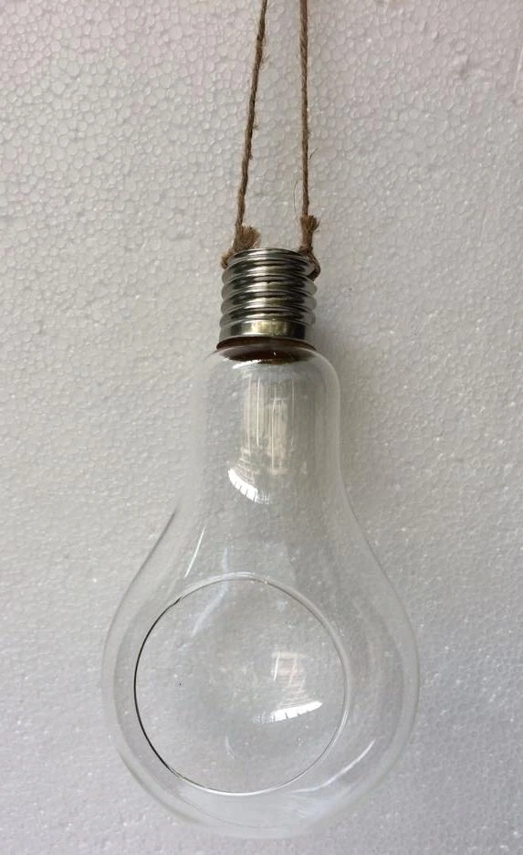 Hanging Bulb 4*9*2